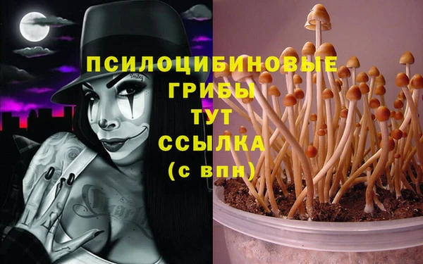кокаин колумбия Магас