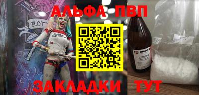 стаф Кунгур